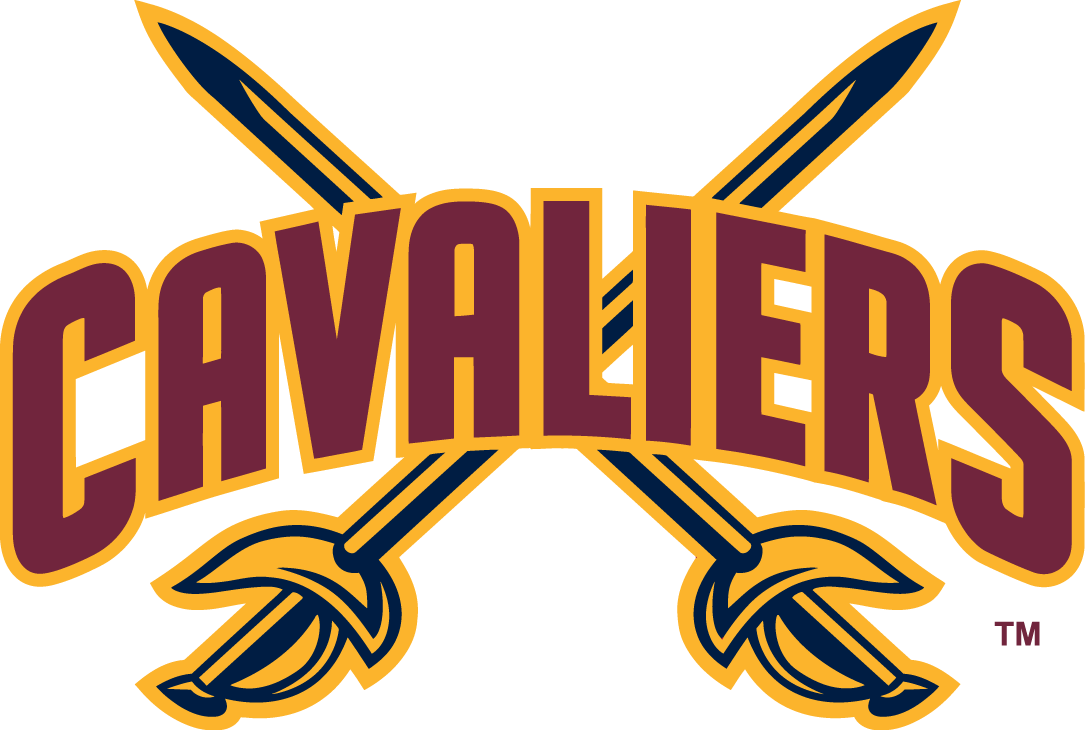 Cleveland Cavaliers 2010-2017 Alternate Logo fabric transfer